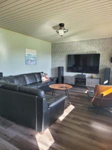 ein Wohnzimmer mit einem schwarzen Sofa und einem TV in der Unterkunft Niittyvilla Apartments in Jämsä
