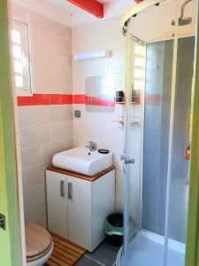 y baño con lavabo y ducha. en Le Ti Citron Vert en Saint-Leu