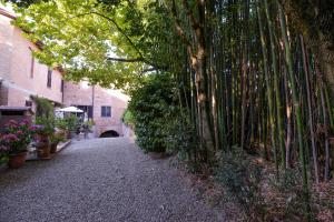 Gallery image of Appartamento Vecchio Mulino in Isola d'Arbia