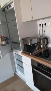 Kuchyňa alebo kuchynka v ubytovaní Platán Beach Apartman with lakeview
