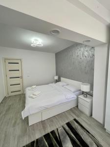 Giường trong phòng chung tại Timisoara Central Apartment New !!