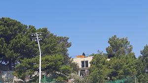 Billede fra billedgalleriet på Old Captain's Apartments - in a pine wood by the sea and tennis courts i Split + 38 billeder