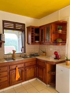 una cocina con armarios de madera y un perro rojo en la encimera en Tranquillité Vert en Pointe-Noire
