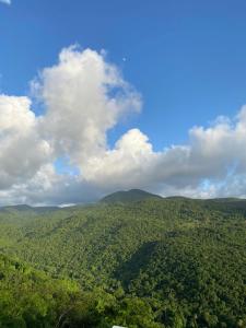 una vista aérea de una zona boscosa con montañas en Tranquillité Vert en Pointe-Noire