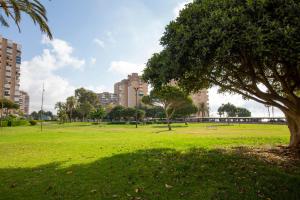 A garden outside Cristina III