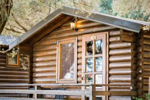 Fotografija v galeriji nastanitve Holiday Park Olive Tree v Ulcinju