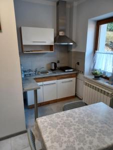 a small kitchen with a table and a sink at Agroturystyka Leśna Ostoja Borek in Golczowice