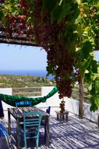 a table and a chair and a bunch of grapes at saveriako, paradise for relaxed free spirits in Agia Pelagia
