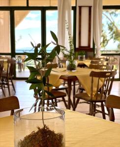 a plant in a vase sitting on a table at ΑΓΝΑΝΤΙΟ in Liyiá