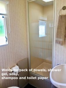een badkamer met een douche, een toilet en een wastafel bij Forest View - Adults Only - Maximum 2 Guests in Drumnadrochit