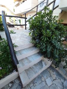 Zdjęcie z galerii obiektu Dedalos n2 Mountain View apartment-30 metres from the beach w mieście Stalida