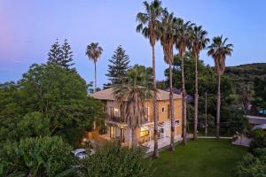 an aerial view of a house with palm trees at Pargadise Aprtments in Parga