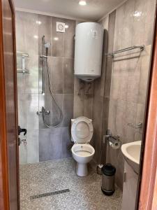 a bathroom with a shower and a toilet and a sink at Къща за гости Ненийски in Lom +56 photos