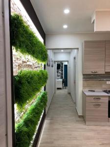 un couloir avec un mur vert dans une cuisine dans l'établissement Storico17, à Catane
