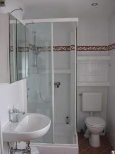 a bathroom with a shower and a sink and a toilet at Haus Renia in Markdorf