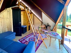 a room with a ladder and a couch and chairs at Casa din "Curtea cu cai" in Borsec +5 photos