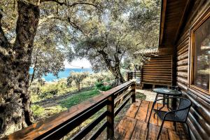 Fotografija v galeriji nastanitve Holiday Park Olive Tree v Ulcinju