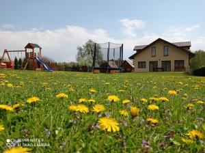 a field of flowers with a house and a playground at Ośrodek Wczasowy "Wczasy pod gruszą" in Biecz