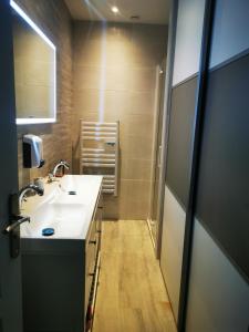 a bathroom with a white sink and a mirror at APPARTEMENT COSY LIBOURNE in Libourne