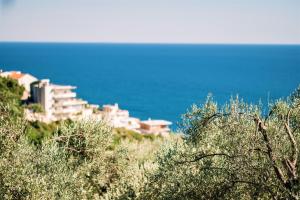 Fotografija v galeriji nastanitve Holiday Park Olive Tree v Ulcinju + 36 fotografij