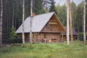 a log cabin with a metal roof in the woods at Aasa Holiday Homes in Kärsu