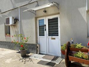 a white door of a house with potted plants at Autumn Bliss Apartment in Timişoara