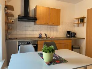 een keuken met een tafel met een potplant erop bij Ferienwohnung 2 Schlafzimmer Brandenburg in Stüdenitz