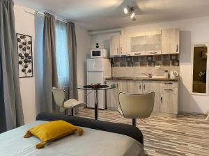 Nhà bếp/bếp nhỏ tại Urseni Studio Apartment