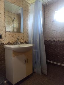 a bathroom with a sink and a shower with a mirror at BBQ House in Dilijan