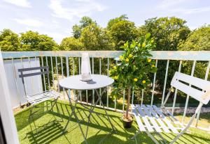 a balcony with two chairs and a table and a plant at APPART PREMIUM DU LYS Balcon amenage Parking gratuit in Dammarie-lès-Lys