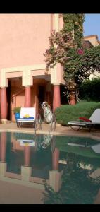 Gallery image of VillaHouda havre de paix piscine. Hammam et jardin privé in Marrakesh