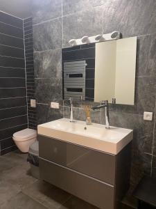 een badkamer met een wastafel, een toilet en een spiegel bij LOFT Tignes Val Claret in Tignes
