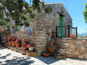 a stone wall with a bunch of potted plants on it at Villa Panayiota in Alonnisos
