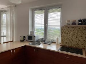 kuchnia ze zlewem i kuchenką mikrofalową na ladzie w obiekcie Apartament Parion 2 w mieście Lublin