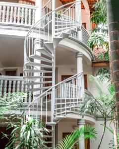 Balcone o terrazza di Jungle Addition