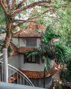 Balcone o terrazza di Jungle Addition