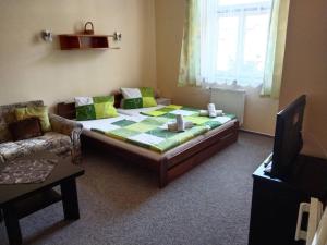 TV a/nebo společenská místnost v ubytování Hotel Jaro