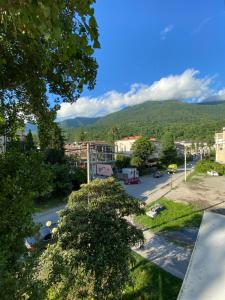 a view of a town with a mountain in the background at Apartment on Abazgaa in Gagra