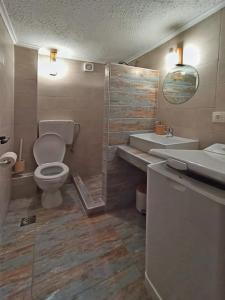 a bathroom with a toilet and a sink and a shower at Casavita 1 in Polykhrono
