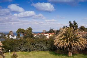 a palm tree in a yard with the ocean in the background at Casavita 1 in Polychrono