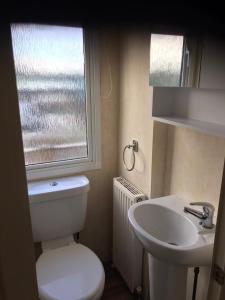 a bathroom with a toilet and a sink and a window at Pant yr onen holidays in Llandrindod Wells