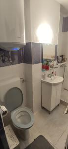 a small bathroom with a toilet and a sink at Casa TE apartment in Orşova +17 photos