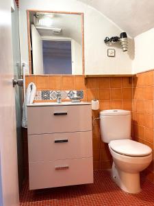 een badkamer met een toilet, een wastafel en een spiegel bij Los Cuatro Cantones - Con BARBACOA in Ariza