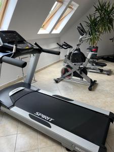 Posilňovňa alebo fitness centrum v ubytovaní Apartament Butorowy Kościelisko