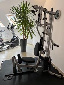 Posilňovňa alebo fitness centrum v ubytovaní Apartament Butorowy Kościelisko