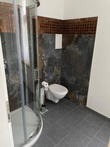 a bathroom with a toilet and a glass shower at Villa Mila in Loket