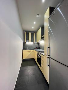 Η κουζίνα ή μικρή κουζίνα στο Madach square apartment