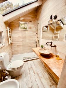 a bathroom with a sink and a toilet and a tub at Hogar de Montaña in Villa La Angostura