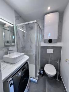 ein Bad mit einer Dusche, einem WC und einem Waschbecken in der Unterkunft Superbe appartement 1 bedroom équipée 2P Parc des Princes in Boulogne-Billancourt