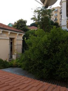 duży zielony krzak obok budynku w obiekcie studio pour 3 personnes au calme dans villa w Nicei